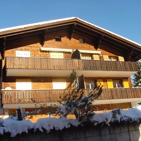 Chrinnengletscher Grindelwald Luaran gambar