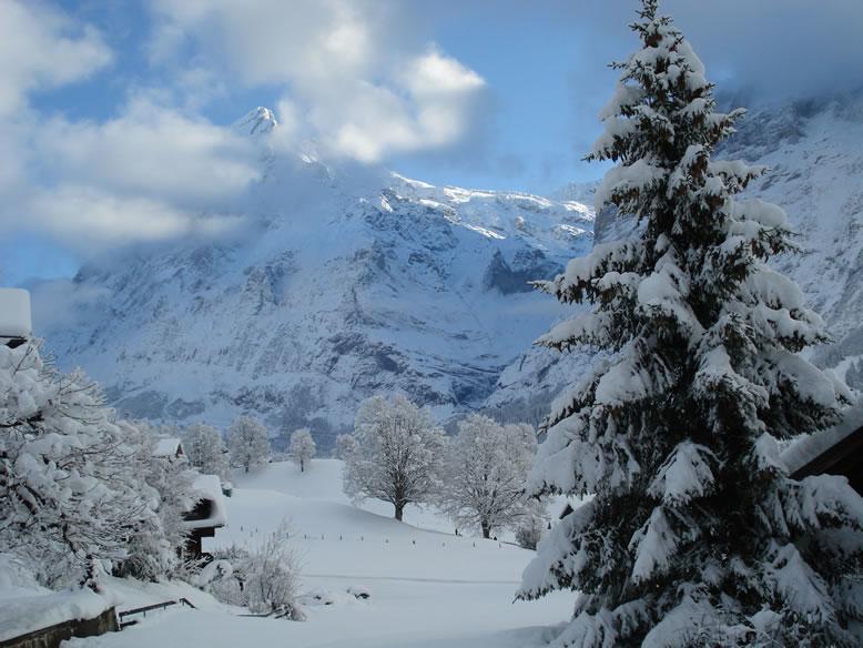Chrinnengletscher Grindelwald Luaran gambar