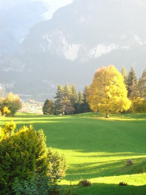 Chrinnengletscher Grindelwald Luaran gambar